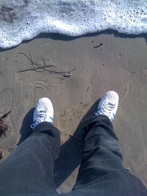 shoe foam